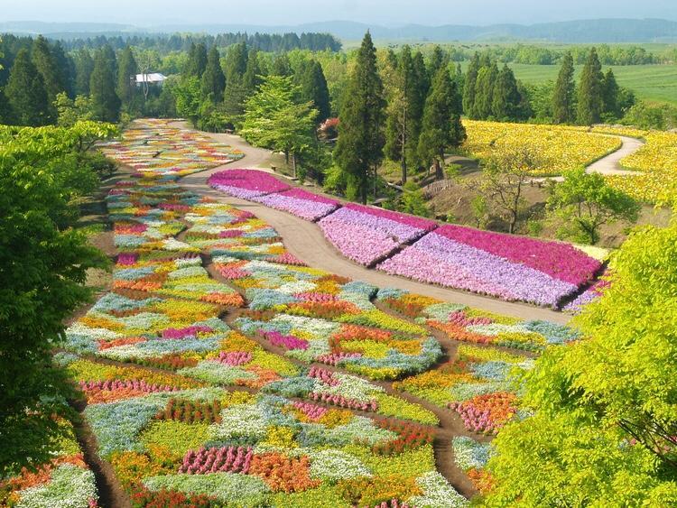 赤川温泉スパージュ-Spaju Taketa Exteriör bild