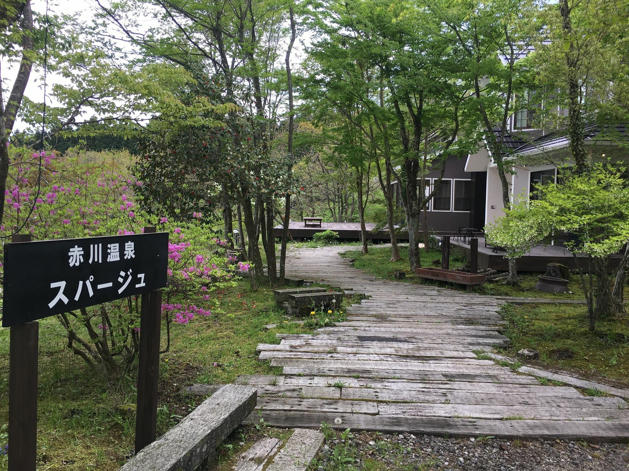 赤川温泉スパージュ-Spaju Taketa Exteriör bild